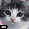 Пинк Пинк - млекопитающее
