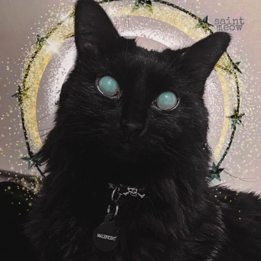 pinkycats pinkycats -