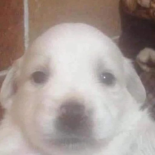 пздц пздц -
