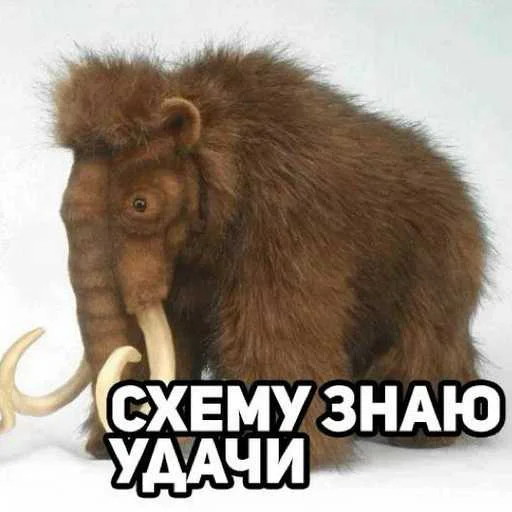 Темки Тут 👉@PerehodByDollarovy👈 Темки Тут 👉@PerehodByDollarovy👈 -