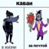 каваи каваи -