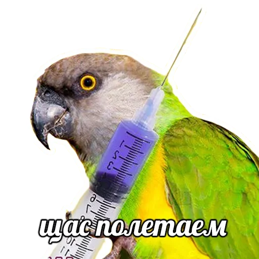 Sticker ПОДБОРКА МЕМОВ part 7 - 0
