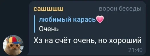 text text screenshot font