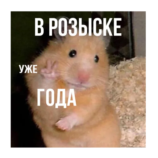 pojebało pojebało -