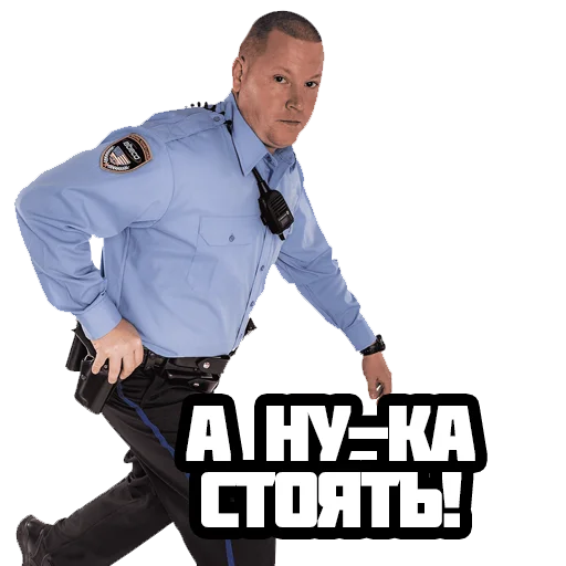 Форма мем. Стикеры полиция. Стикер милиция. Meme Police TG.