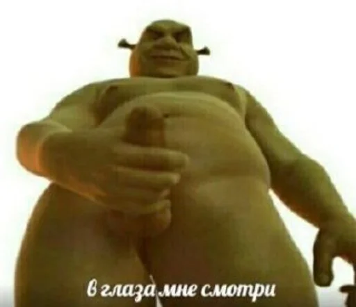 sumo sumo sport person