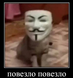Sticker че это | @doobikoch - 8 Sticker че это | @doobikoch - 8