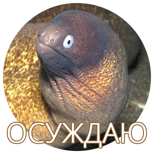 понаходил понаходил -