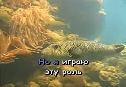 ponikaraoke ponikaraoke -