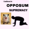 opossums_p1 opossums_p1 -