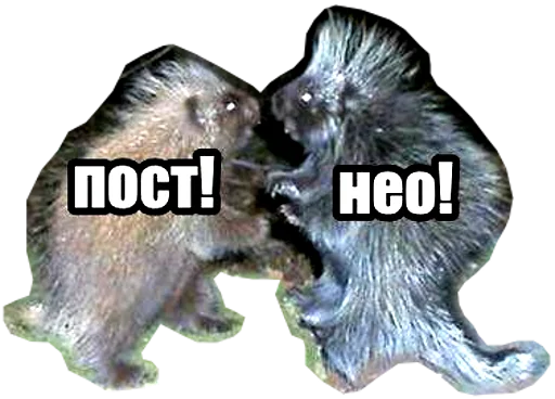 Постанархизм Постанархизм -