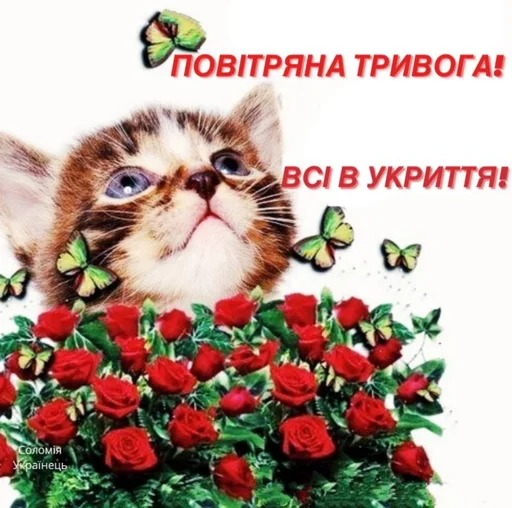 повітряна тривога повітряна тривога -