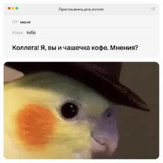 Sticker приглашения для коллег - 1