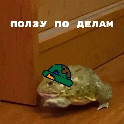 ЖАБУС ❤️🐸 ЖАБУС ❤️🐸 -