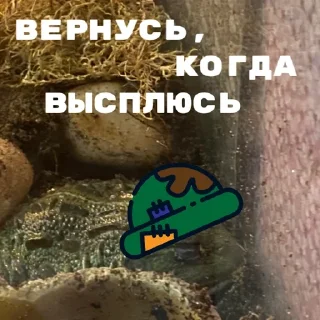 Sticker ЖАБУС ❤️🐸 - 0