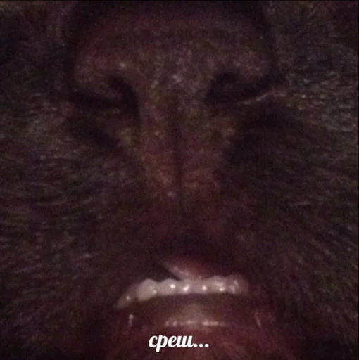 по ржать по ржать -