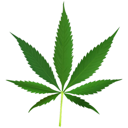 hemp hemp cannabis leaf