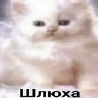 Стикер психічне порушення - 1