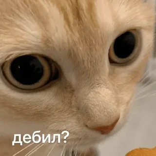 Sticker психічне порушення - 7