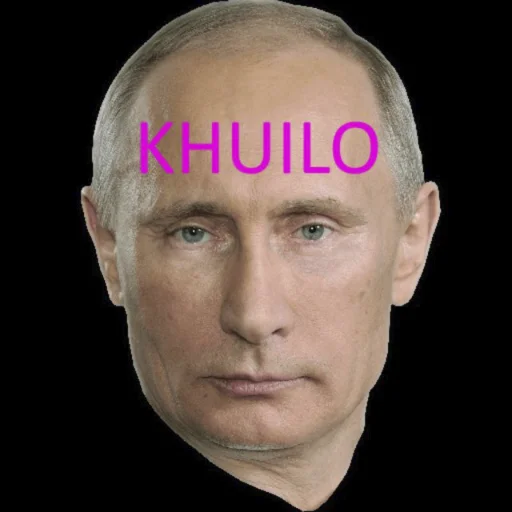 putin putin -