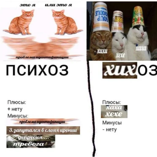стимуляторный хихоз стимуляторный хихоз -