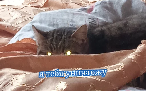 дичь дичь -