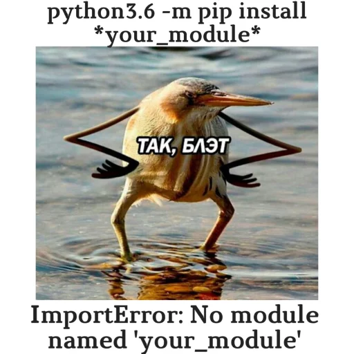 python memes python memes -