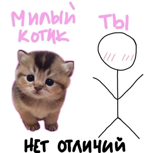 💕Стики тут: @sekstick 💕Стики тут: @sekstick -