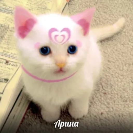 секундное дело секундное дело -