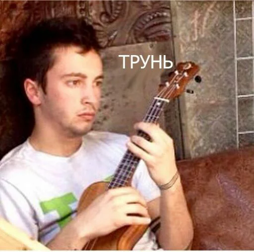 music music musical instrument person