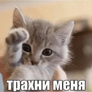 Стикер Больше @new_stickerbot - 10