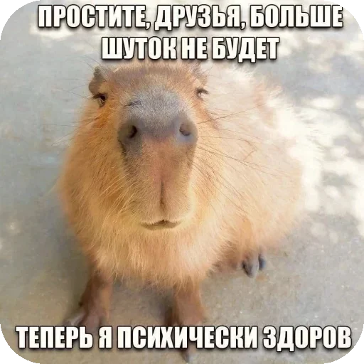 Больше стиков тут: @stikery4 Больше стиков тут: @stikery4 -
