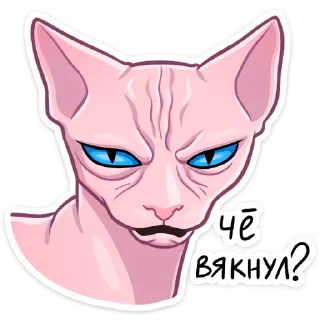 Рамзес (@TgSticker) Рамзес (@TgSticker) - клипарт