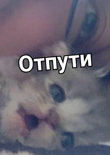 рандом пак рандом пак -