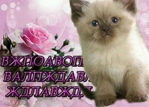 Стикер pizda :: @fStikBot - 2