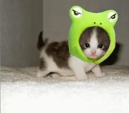 🐁 🐁 -