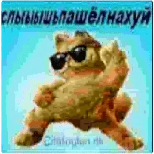 text text frog cartoon
