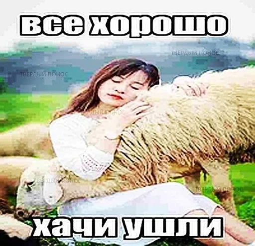 text text animal mammal