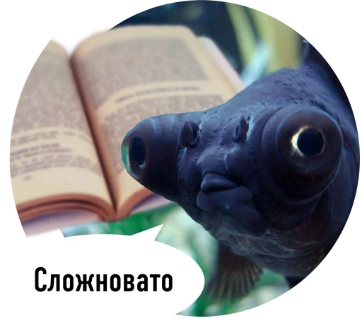 Сложно быть рыбой. Сложно рыбка. Рыба читает книгу. Мем рыба сложновато. Книги про рыб.