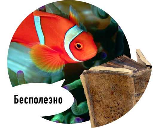животное рыба аквариум
