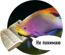 Рыбы пытаются читать Рыбы пытаются читать - animal