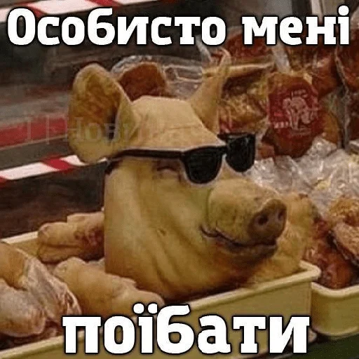 retardedpack retardedpack -