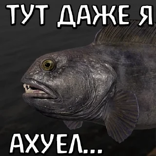 Стикер 🐟RF4 18+ by YAROXA - 2