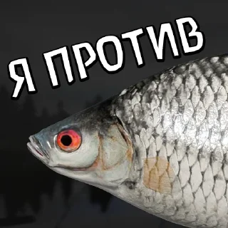 Стикер 🐟RF4 18+ by YAROXA - 3