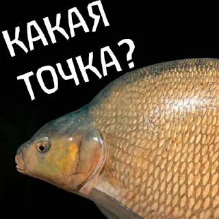 Стикер 🐟RF4 18+ by YAROXA - 6