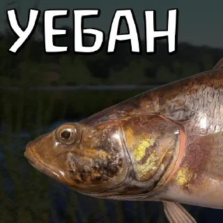Стикер 🐟RF4 18+ by YAROXA - 11
