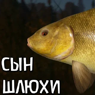 Стикер 🐟RF4 18+ by YAROXA - 7