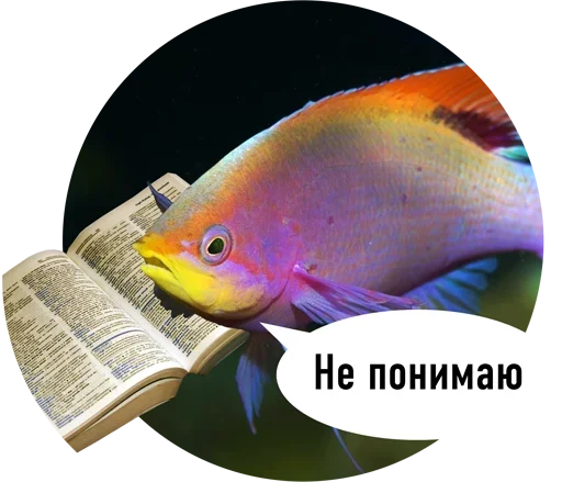 Рыбы пытаются читать Рыбы пытаются читать -