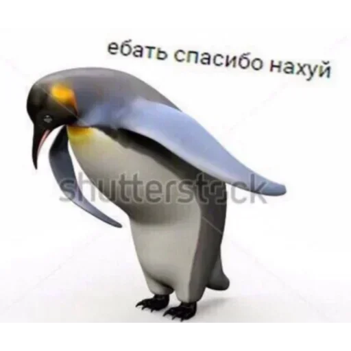 Стикер ю канда смелл лайк э бака — @StikRobot - 7