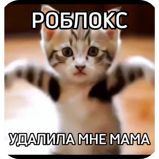 роблокс роблокс -